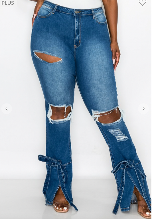Curvy Stylish Jeans